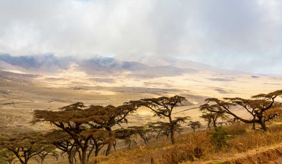 How to Plan Your Serengeti Safari Trip 2 Landscape of African Crater with trees
