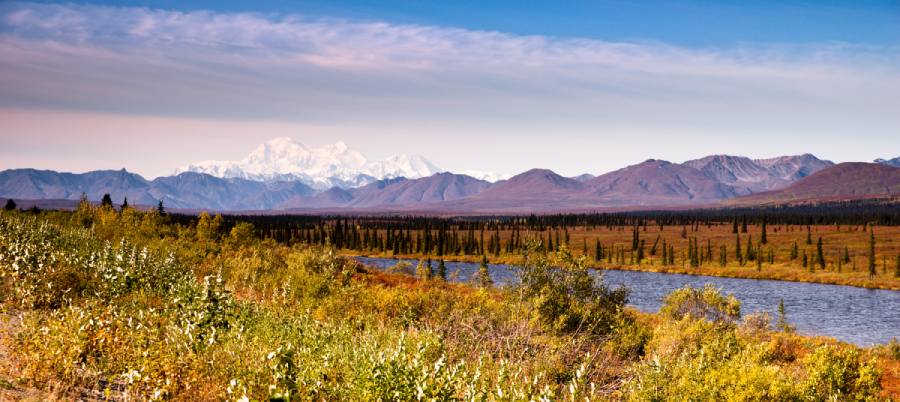 Fairbanks, Alaska Travel Guide: Top Attractions and Tips 3 Denali National park in Alaska