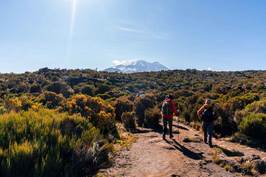 Complete Travel Guide to Climbing Mount Kilimanjaro 2 group of trekkers hiking in kilimanjaro