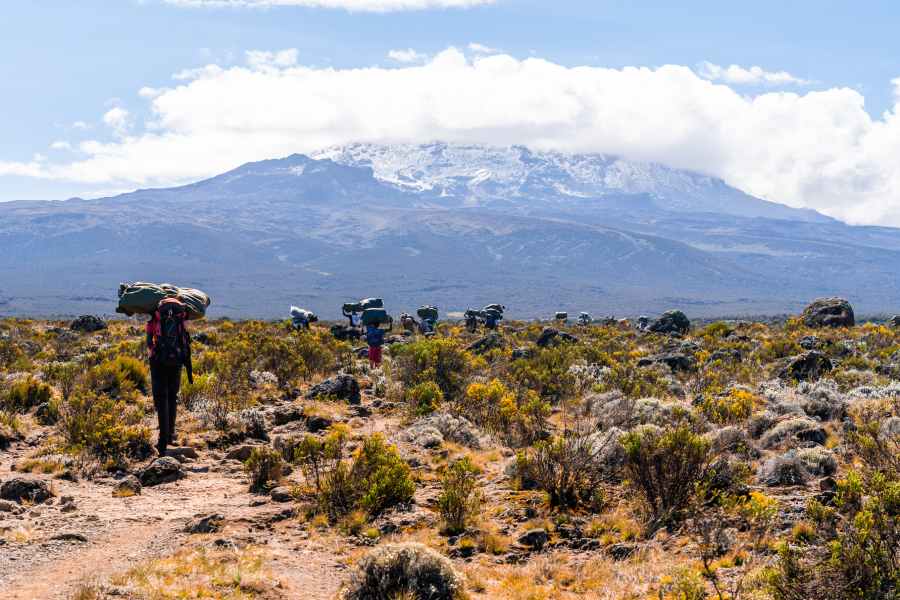 Top Tips for Climbing Mount Kilimanjaro Successfully 3 Group of hikers trekking Mount Kilimanjaro