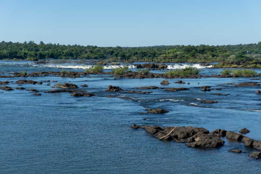 Family Road Trip Guide: Explore Argentina’s Best Routes 3 Iquazu Falls spilling into water in Argentina
