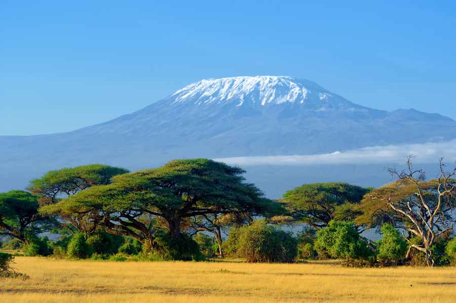 Get Your Custom 10-Day Tanzania Safari Itinerary 2 Kilimanjaro on African Savannah