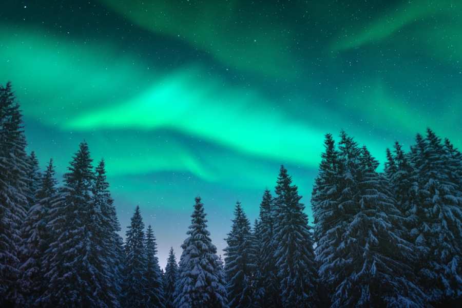 Best Northern Lights Tours to Book in Alaska 3 remote alaska viewing for northern lights