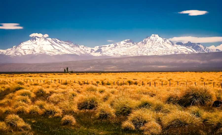 Family Road Trip Guide: Explore Argentina’s Best Routes 2 Grassy lands of Argentina with mountains