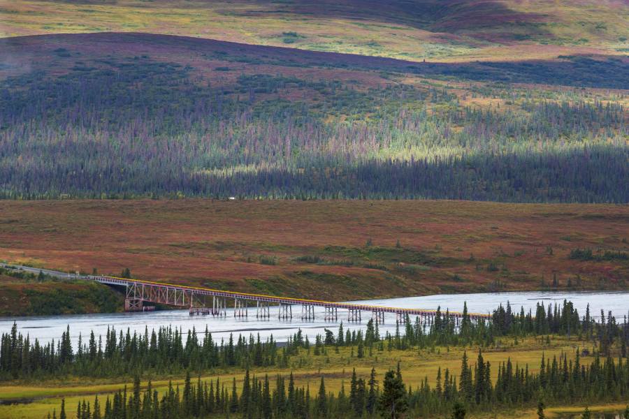 Top Alaska Rail Tours Departing from Anchorage 3 Alaska railroad