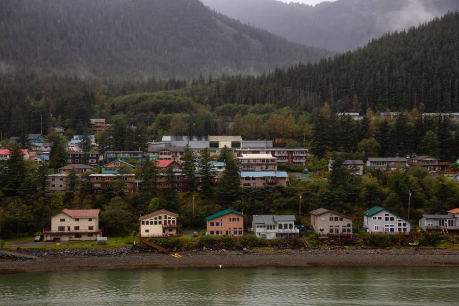 Top Whale Watching Tours in Alaska 3 Juneau whale watching