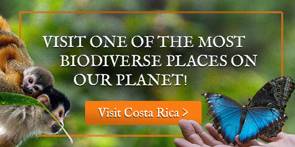 Costa Rica Ecotourism and Sea Turtle Conservation Tours 1 Costa Rica ecotour
