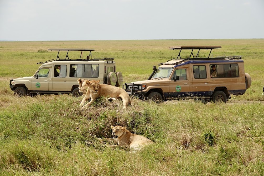 Gondwana Ecotours In 'The Nomad Almanac' 2 Gondwana Ecotours Tanzania: Great Migration Safari