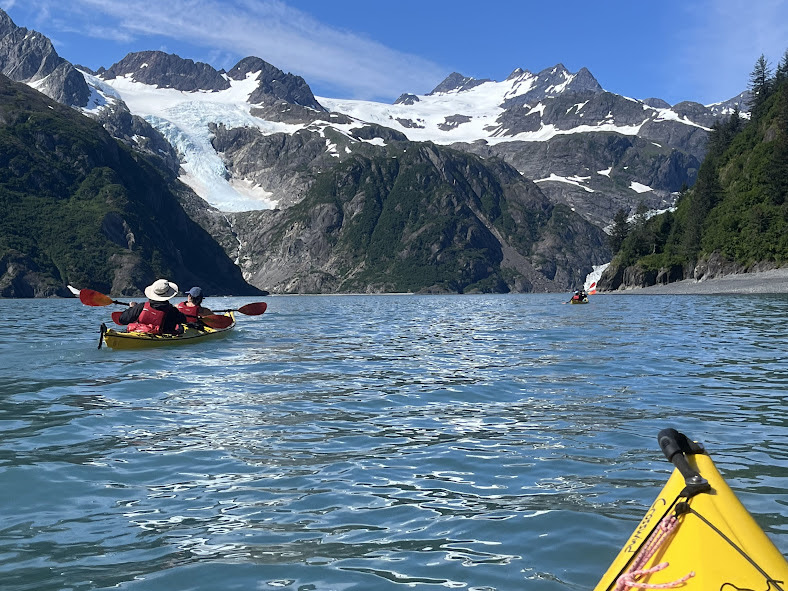 Kayak A Wildlife Paradise 6 Gondwana Ecotours Kayaking Kenai Fjords National Park