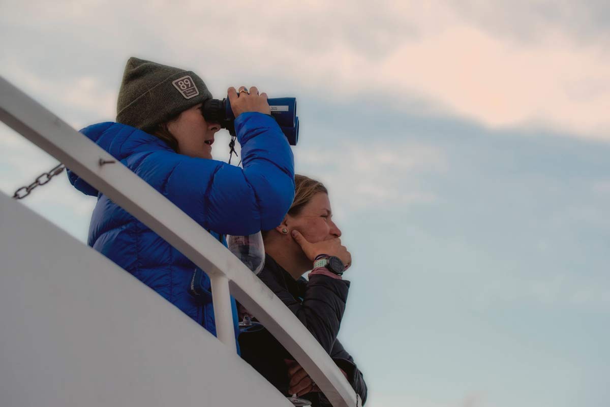 Alaska: Navigating the Inside Passage 2 whale watching tour in Alaska