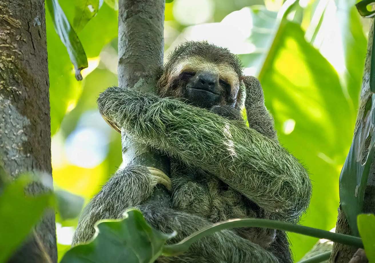 Bucket List Tours to the Best Destinations in the World 7 costa rica adventure tour