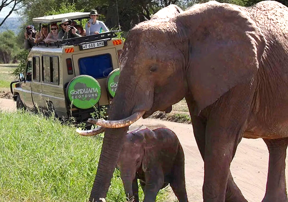 Bucket List Tours to the Best Destinations in the World 11 Image