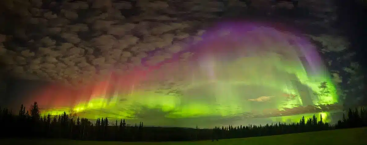 Gondwana Ecotours: Carbon Neutral Tour Operator 10 alaskan northern lights trip small group travel company